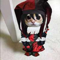Jester on Meet in Chat