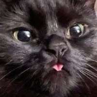 Секс-чат с Blep on meetinchat.com