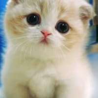 Чат для взрослых с MsSlit on meetinchat.com Чат с MsSlit on meetinchat.com