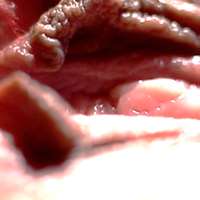 Sex-Chat mit Arousedone on Meet in Chat
