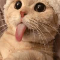 Meet Sara on meetinchat.com