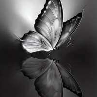 性聊天与 bree 见面 bree