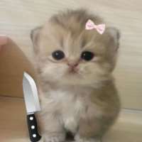 के साथ सेक्स चैट mary on meetinchat.com