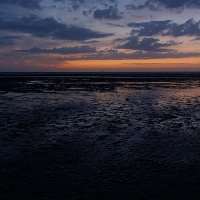 Bate-papo adulto com Adonisxxx on meetinchat.com