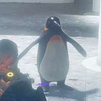 Чат с BigManJoe on meetinchat.com