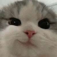 Chat para adultos con Val on Meet in Chat