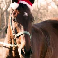 Voldoen aan Country on meetinchat.com