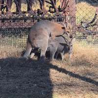 Chat de sexo con Wifeladyb on Meet in Chat