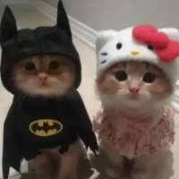 Meet Haru on Meet in Chat