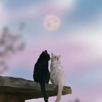 とチャットする Haru on meetinchat.com